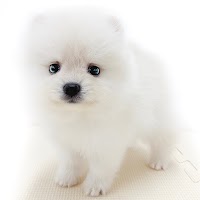 マルワン大和 相模大塚店