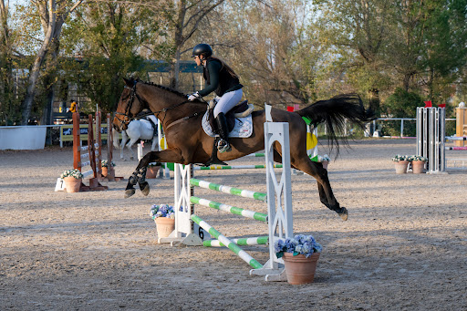 Club Ippico Regno Verde