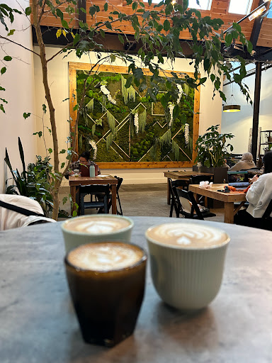 Winter Swan Coffee Gallery - United States