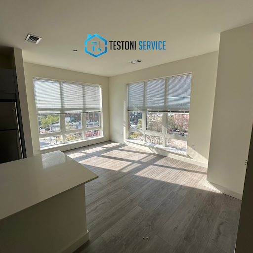 Testoni Service Inc