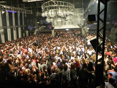 Photos of TEOS DISCO