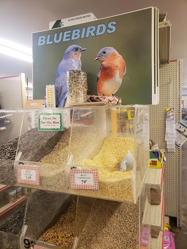 Ted's Feed Store - Visual