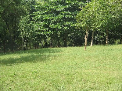 Photos of VSAJ Ansar VDP School and College