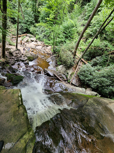 Laurel Falls Trailhead - Thumbnail