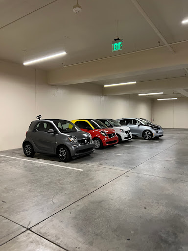 Daisy Drivers - Visual
