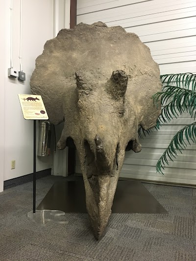 BYU Museum of Paleontology