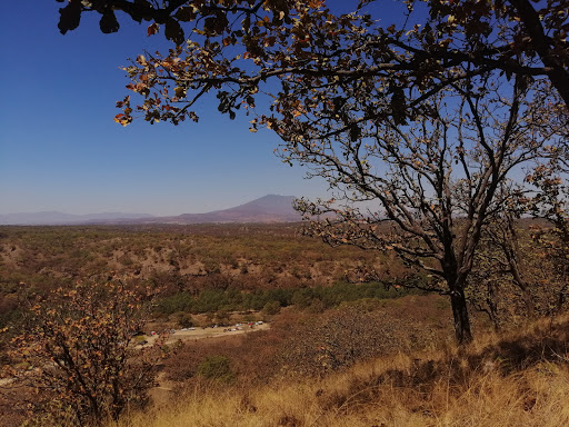 Bosque De La Primavera Río Salado - Thumbnail