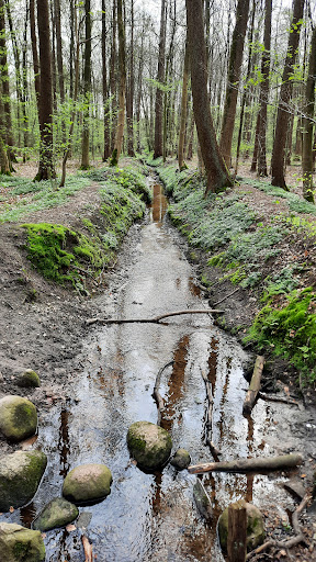 Voßlocher Wald - Thumbnail