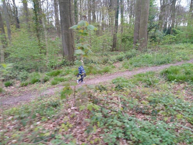 Domein Rondenbos