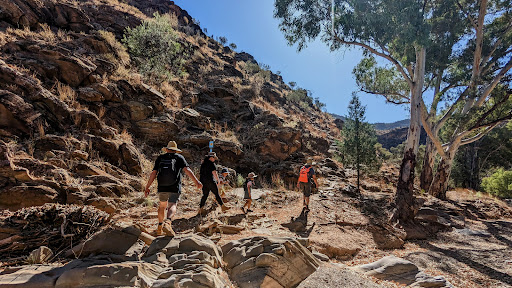 Bunyeroo Car Park and Trailhead - Thumbnail