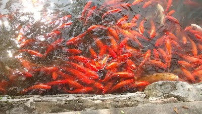 Photos of Changqicun