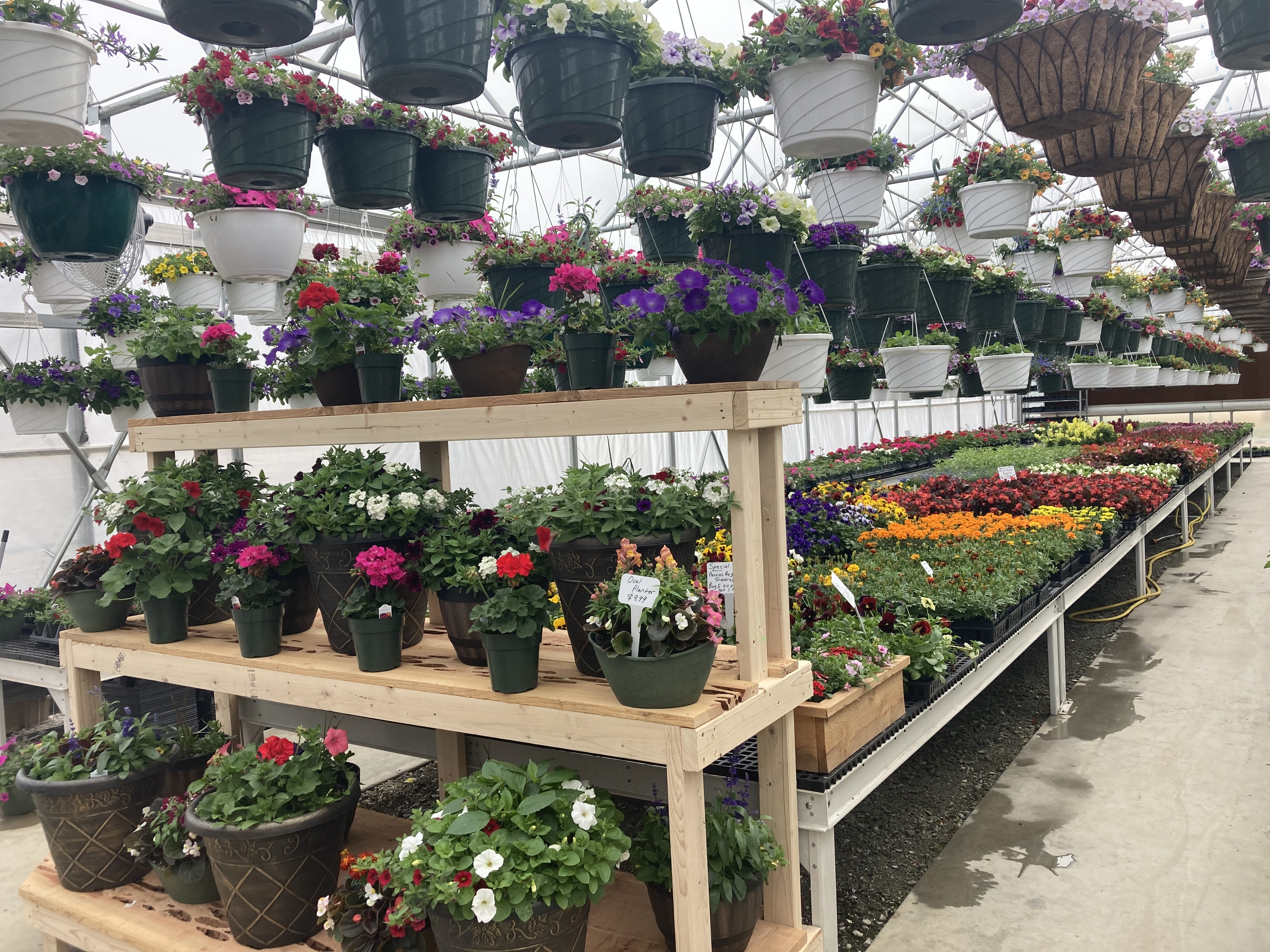 Golden State Greenhouse