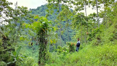 Photos of Gunung Punjul