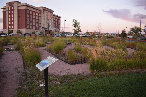 The Grass Labyrinth