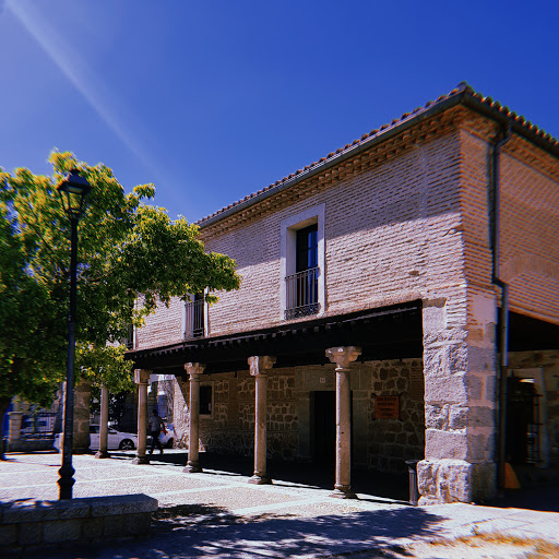 Municipal Public Library Posada de la Feria