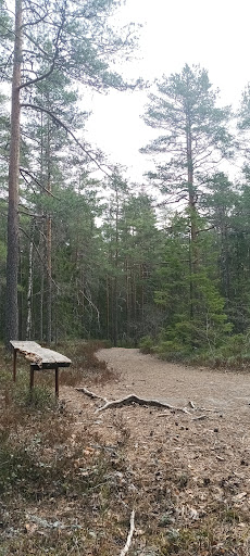 Stadsskogen - Visual