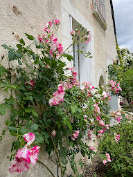 Photo n°9 de Villa Cassandre à Esvres (Chambre d'hôtes)
