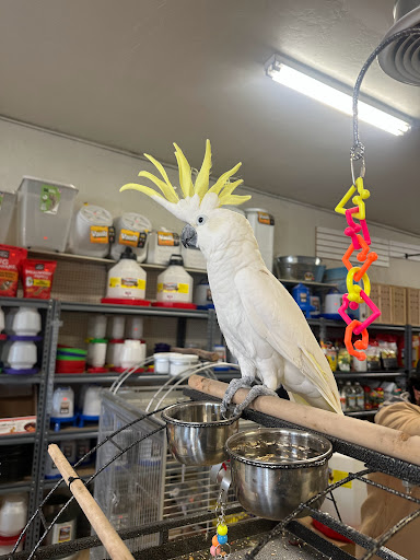 Farmersville Feed & Seed Gallery - United States