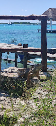 Hostelito Bahía Camping - Thumbnail