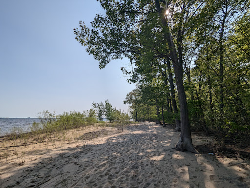 Oka Beach - Visual