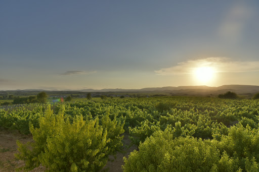 Casa Rural Mas Prat - Thumbnail