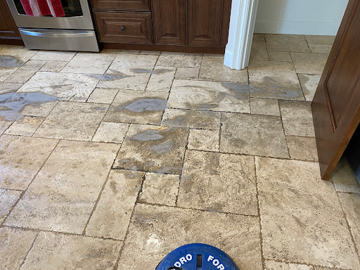 Skyy Blue Carpet & Hard Floors Cleaning - Thumbnail