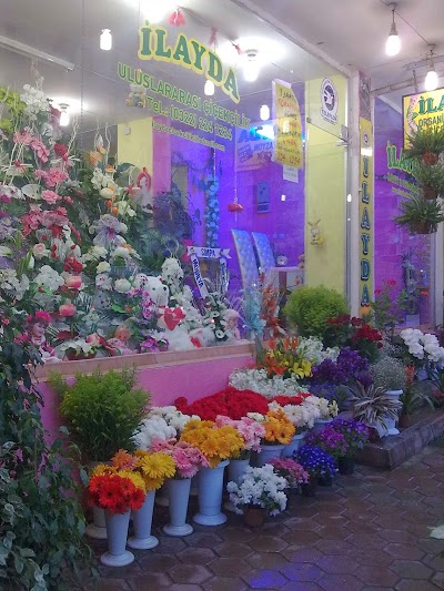 Photos of İLAYDA FLORIST ADANA