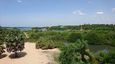 Photos of Eco Park