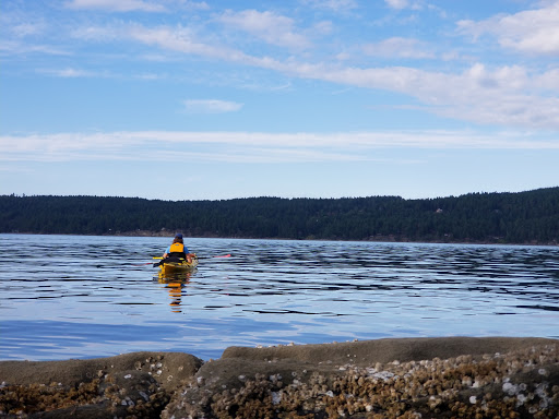 Chivers point, Campsite. - Thumbnail