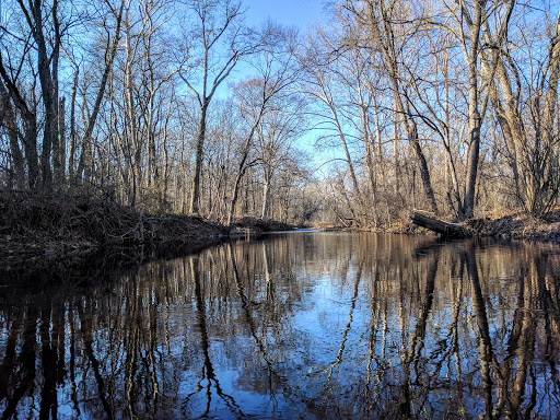 Four Mills Nature Reserve - Thumbnail