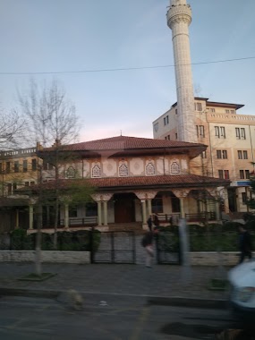 Niksicko Pivo Albania, Author: Orhan Alabucak