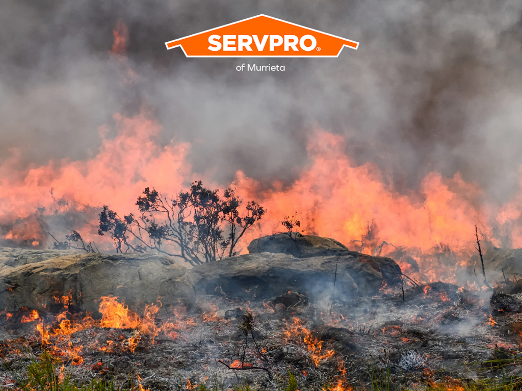 SERVPRO of Murrieta photo