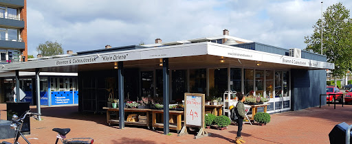Bloemenboetiek Klein Driene