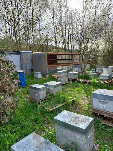 Photo de Le Rucher à Rieux-de-Pelleport (09120)