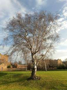 Harrison Park edinburgh