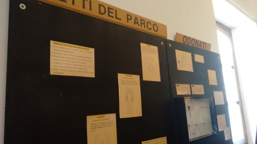 Museo Parco Lame del Sesia - Thumbnail