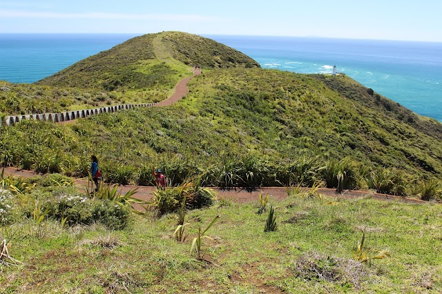 Parking Area, Cape Reinga Lighthouse