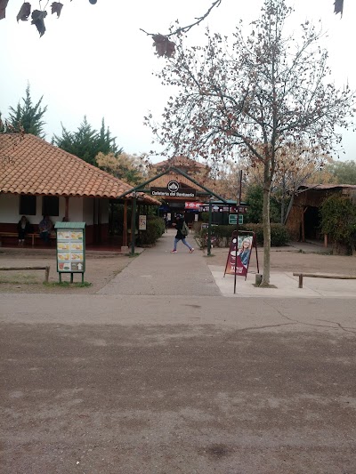 cafe