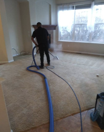Hardy Home Rug Cleaners Inc. - Thumbnail
