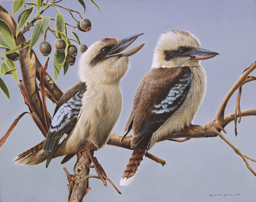 Bay of Whales Gallery Gallery - Australia