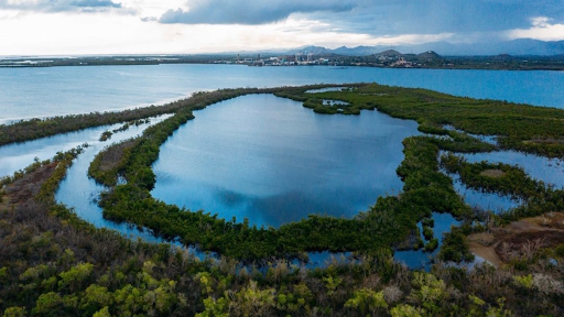 Quiebra-341 Support Group