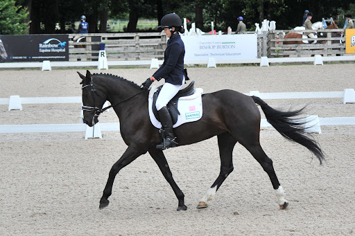 Bishop Burton Equine Centre - Thumbnail