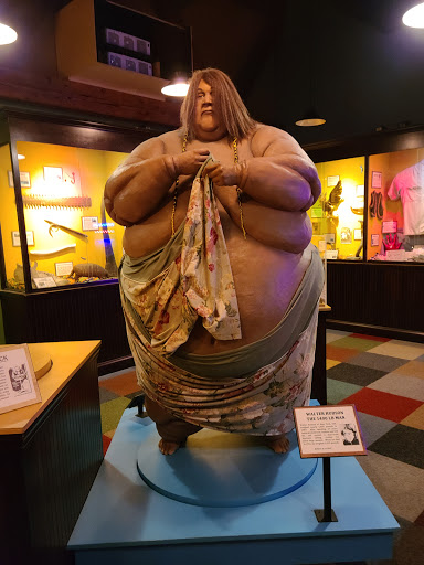 Ripley's Believe It or Not! Williamsburg - Thumbnail