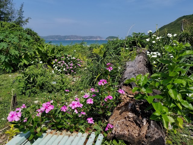 Sai Wan Beach
