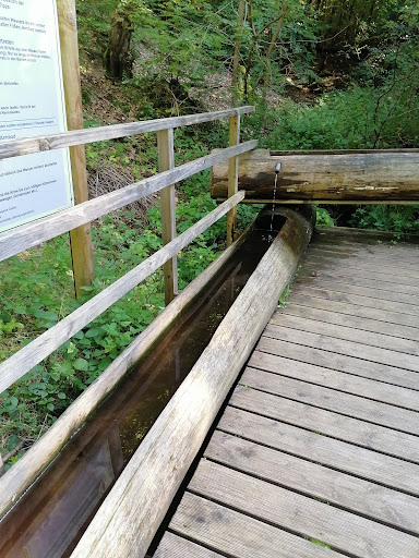 Wassertretanlage Eichhornsbach - Thumbnail