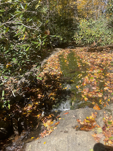 Glen Burney Falls & Cascades - Thumbnail