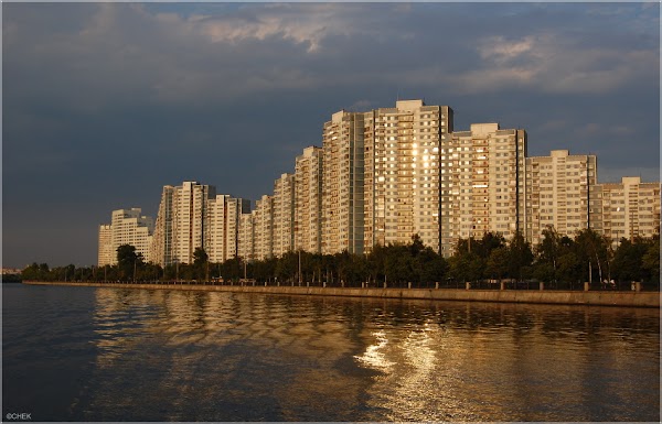 Джунгли нагатинская наб 54 стр 2 фото