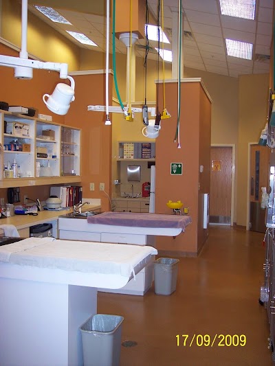 Photos of Dames Point Animal Hospital