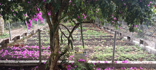 Rancho El Angel de tu salud - Thumbnail