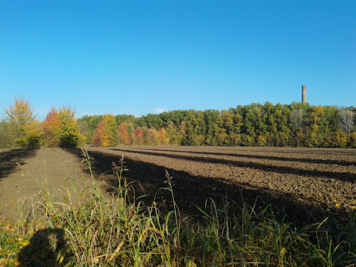 Parco Della Fonte - Thumbnail